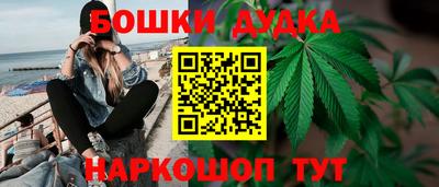 кокс Гудермес